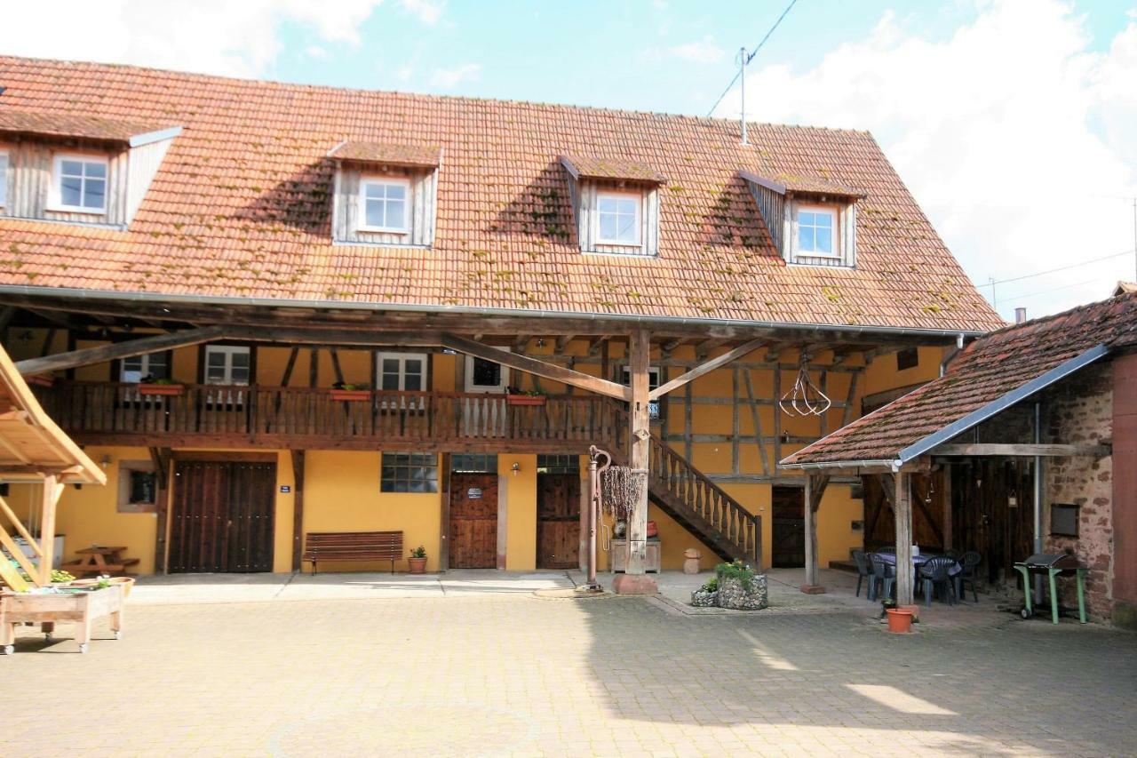 La Ferme De Georges Apt 1 A 6 Pers Bischholtz Luaran gambar